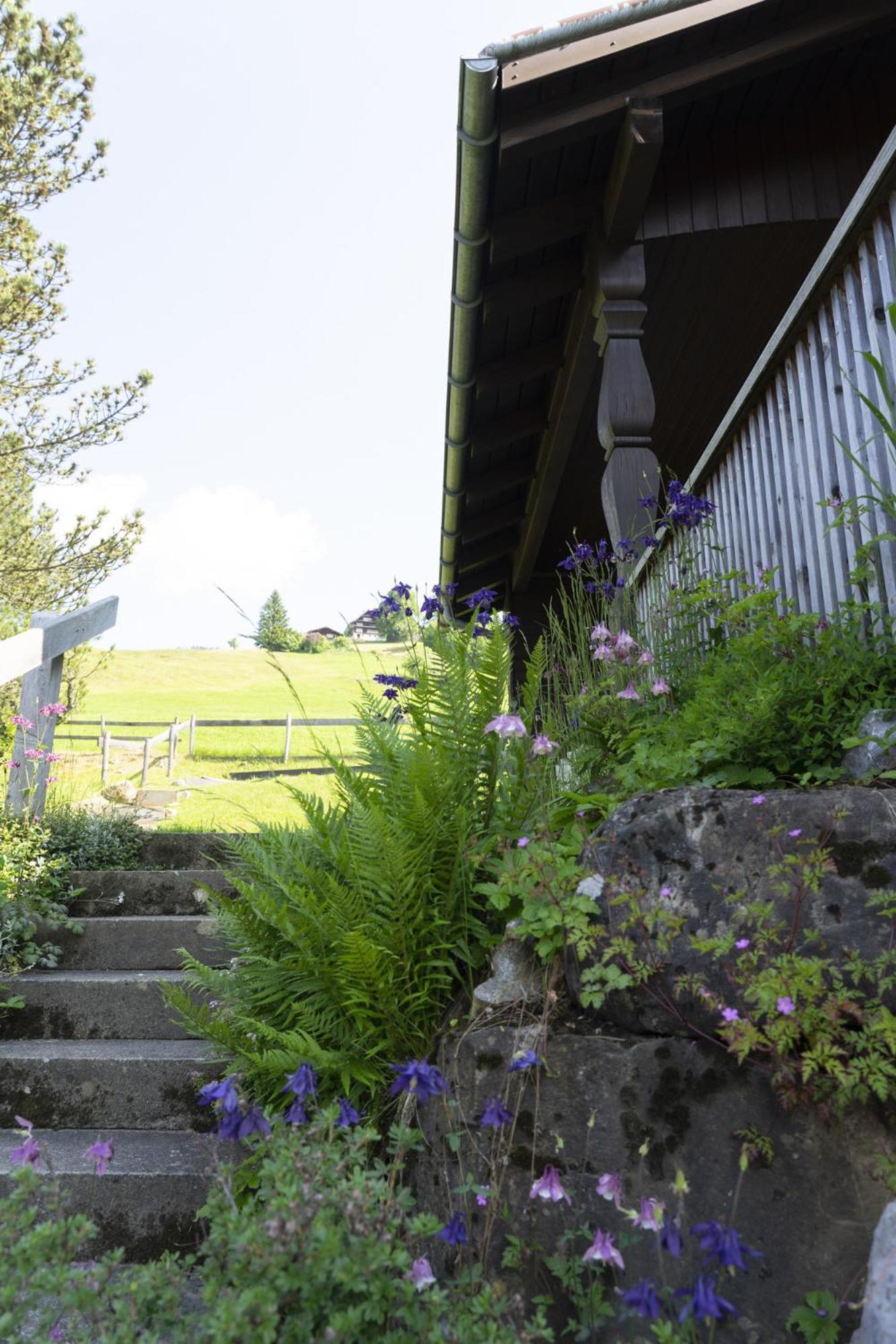Schönau Wildhaus Exteriör bild